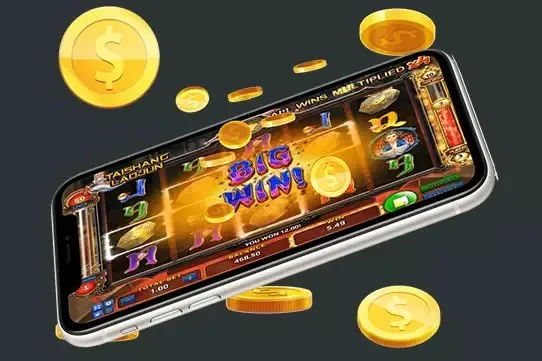 o881 Live Tables, Slots and Crash Games in One Place